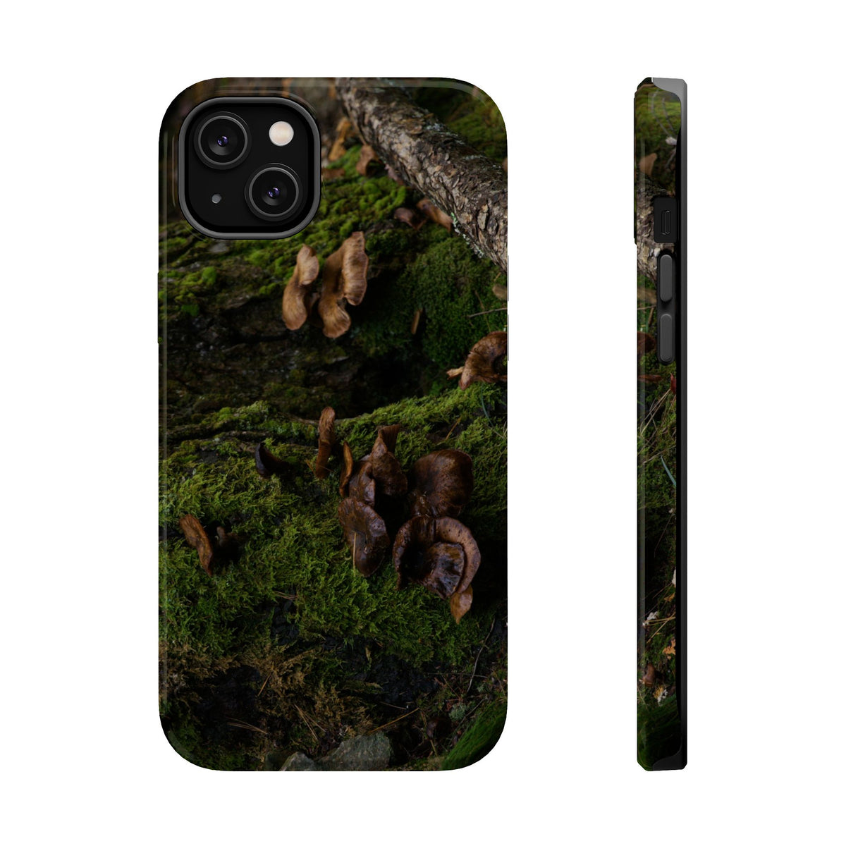 iPhone MagSafe Case | Acadia Forest Fungi | Acadia National Park | My Blu Horizon