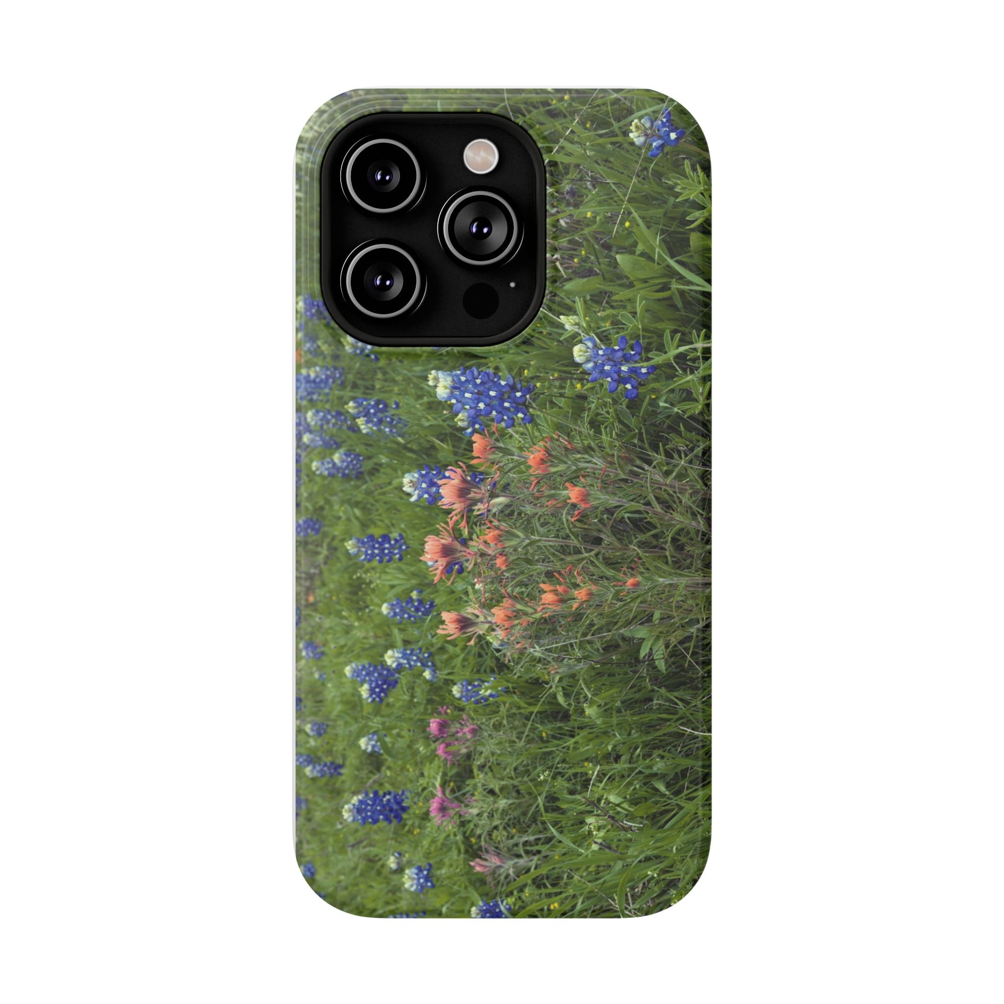 Texas Bluebonnets and Indian Paintbrushes