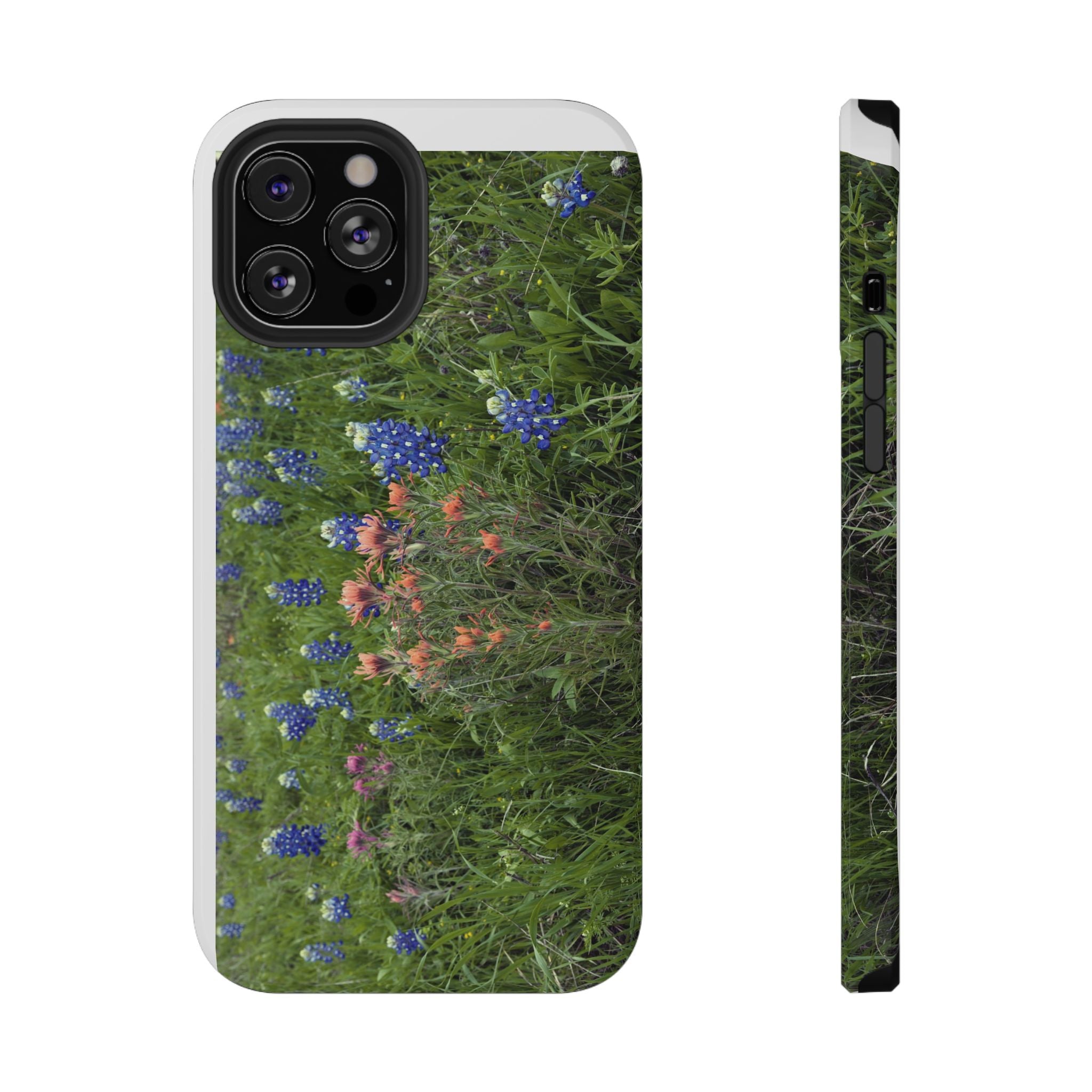 Texas Bluebonnets and Indian Paintbrushes