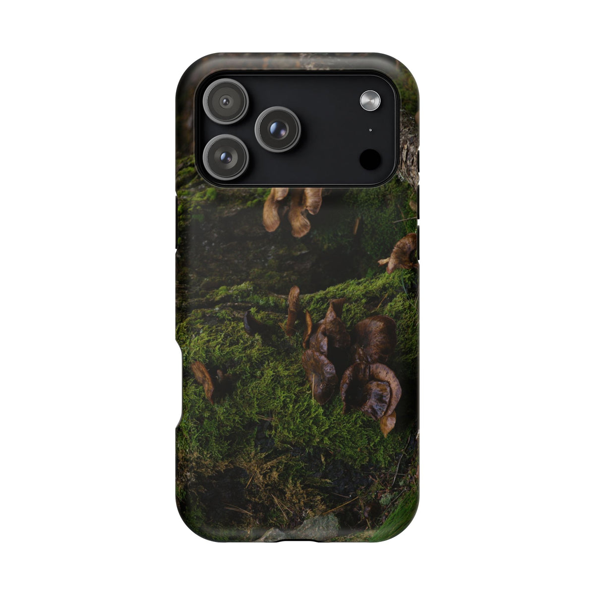 iPhone MagSafe Case | Acadia Forest Fungi | Acadia National Park | My Blu Horizon