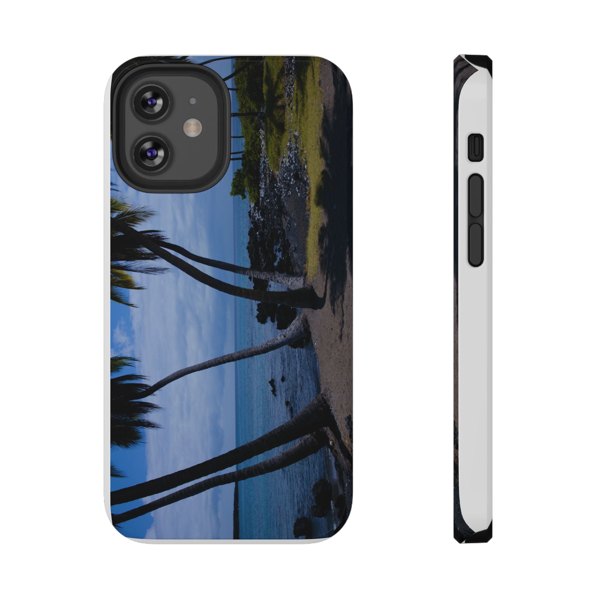 Hawaiian Beach and Palm Trees