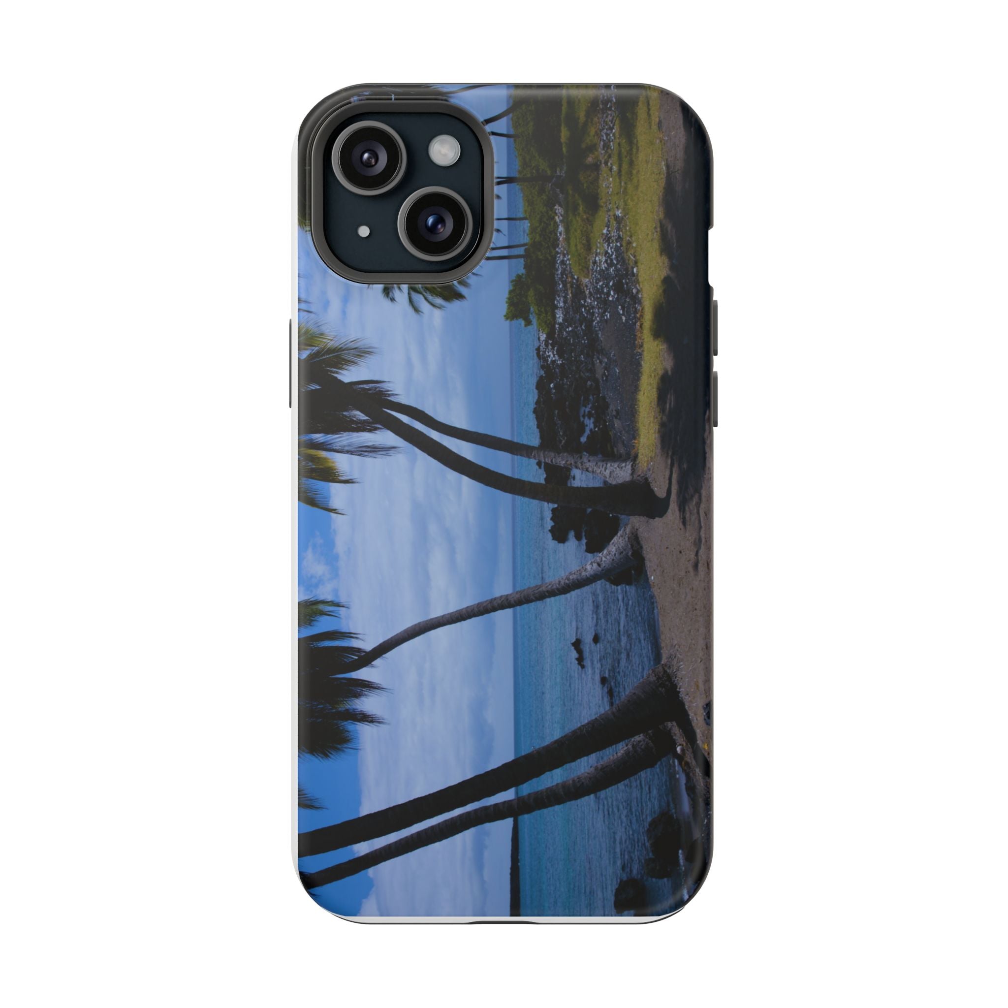 Hawaiian Beach and Palm Trees