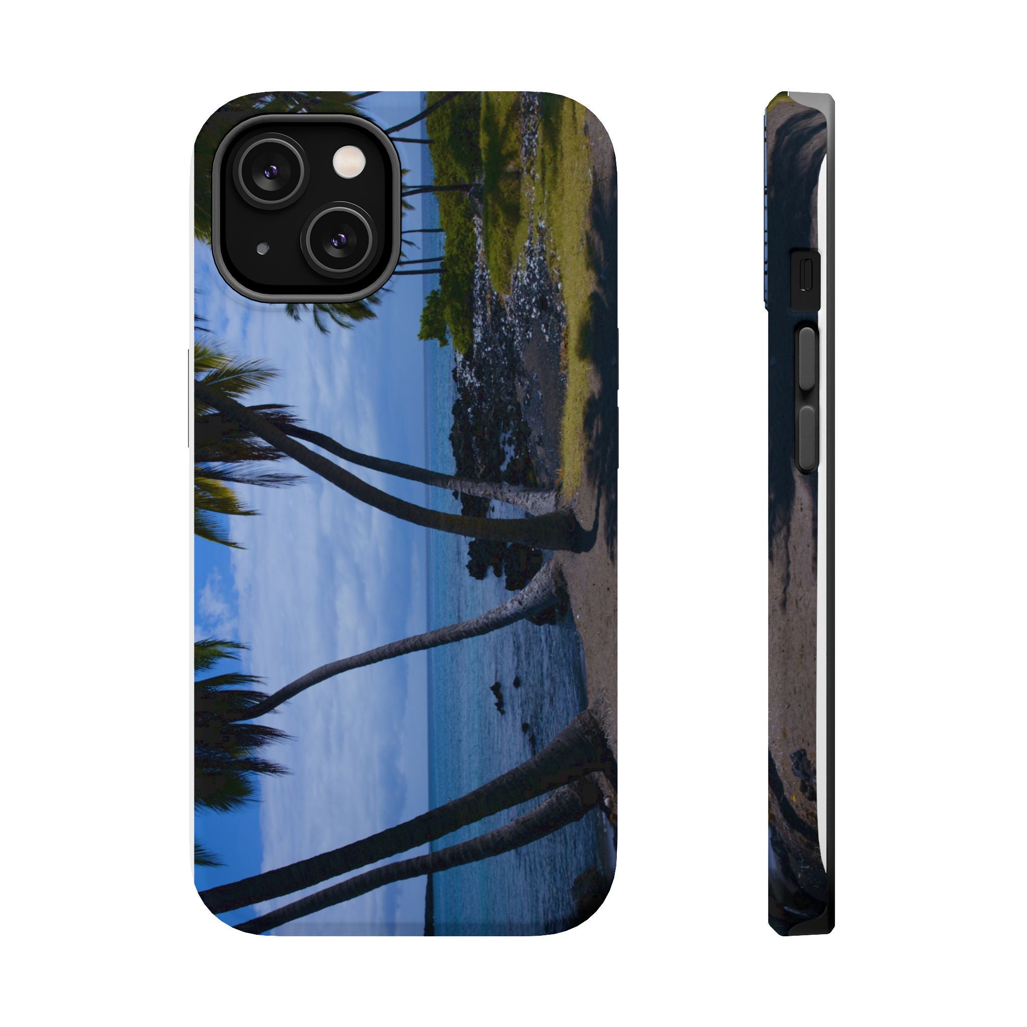 Hawaiian Beach and Palm Trees