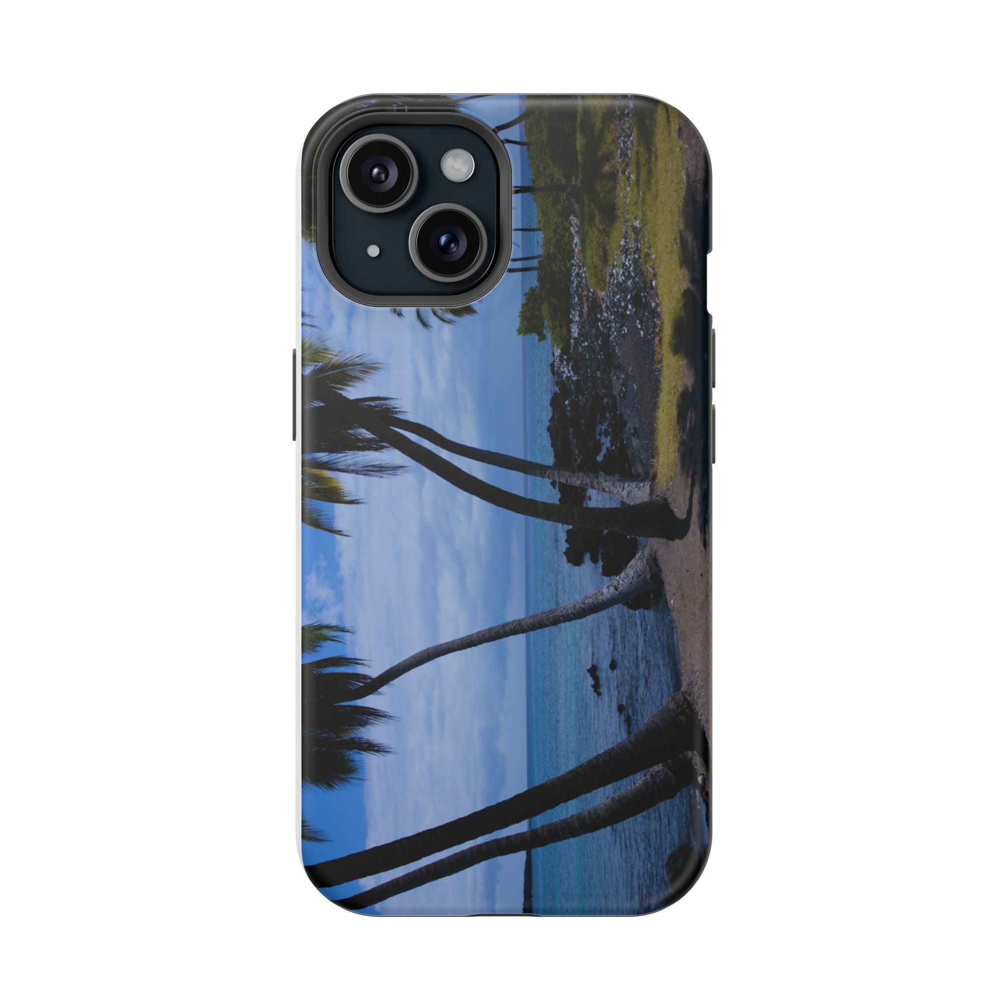 Hawaiian Beach and Palm Trees