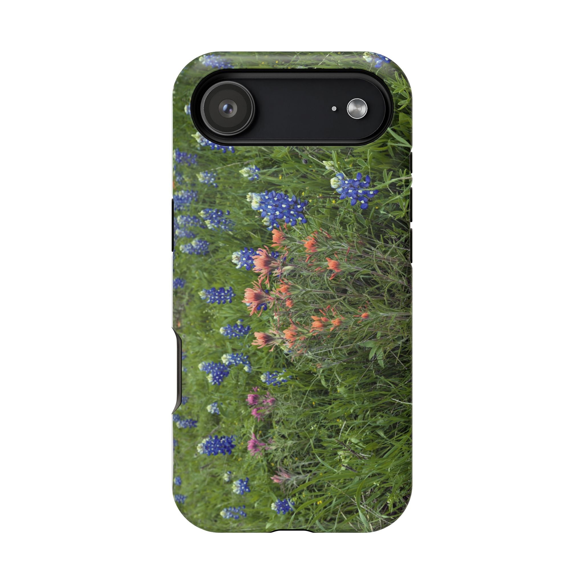 Texas Bluebonnets and Indian Paintbrushes