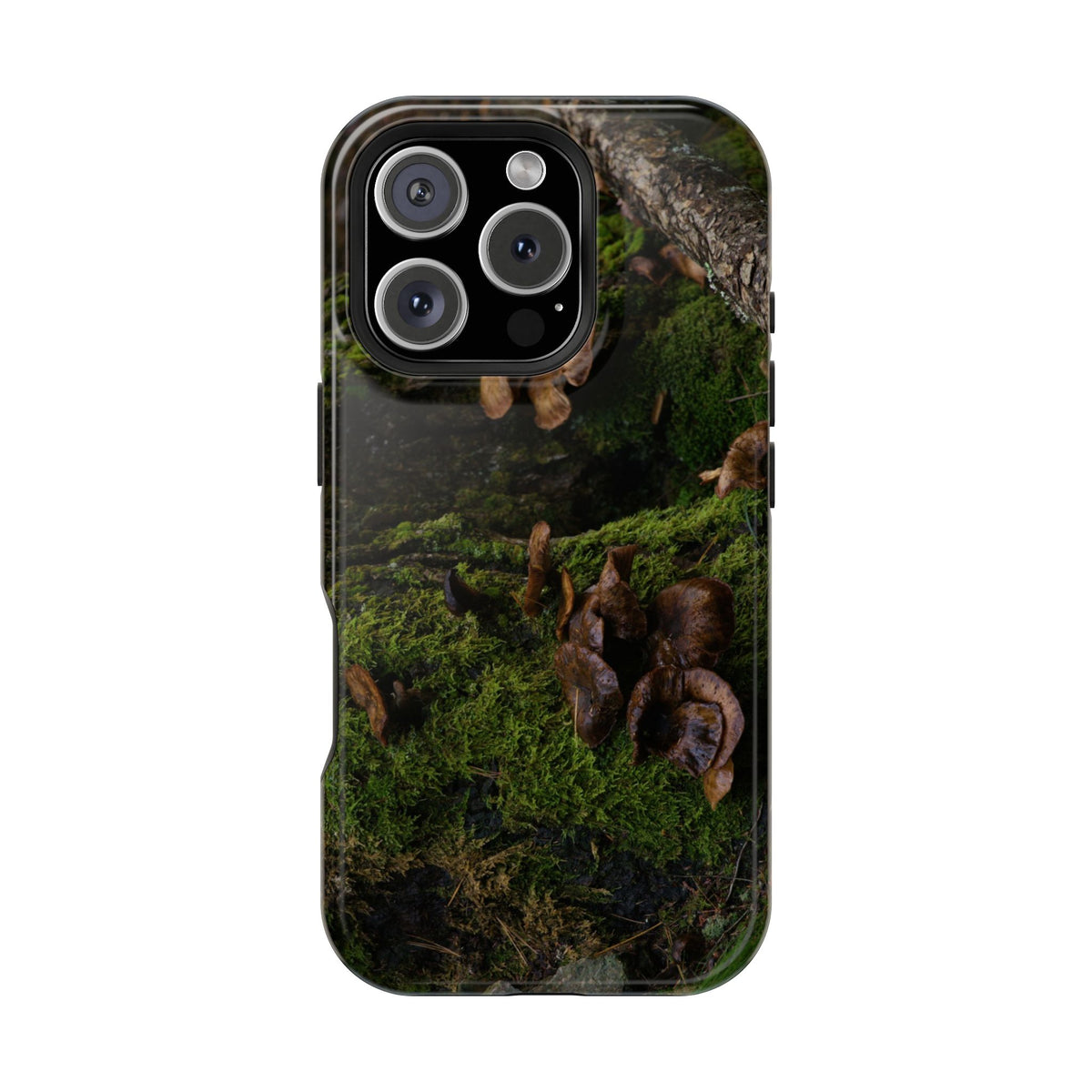 iPhone MagSafe Case | Acadia Forest Fungi | Acadia National Park | My Blu Horizon