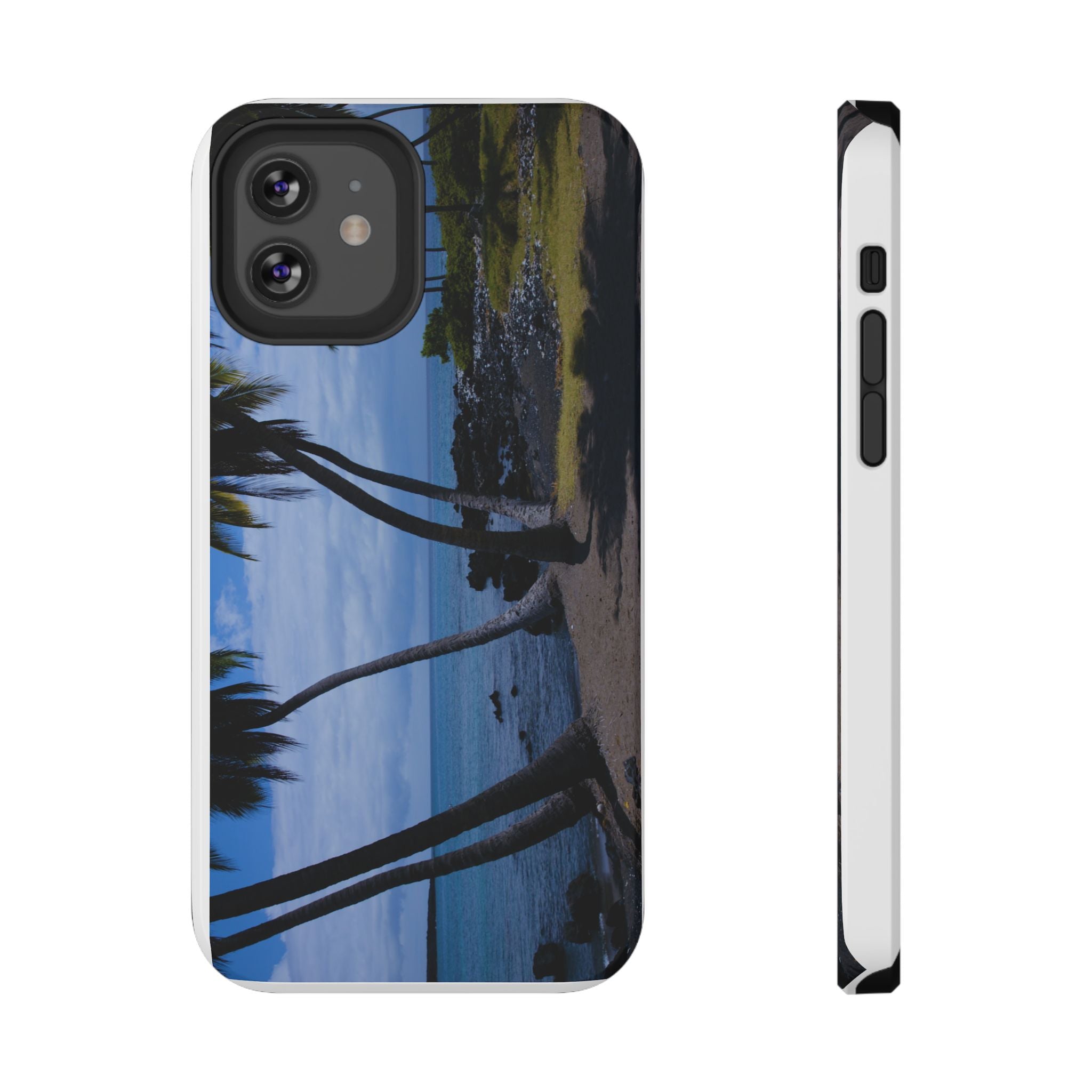Hawaiian Beach and Palm Trees