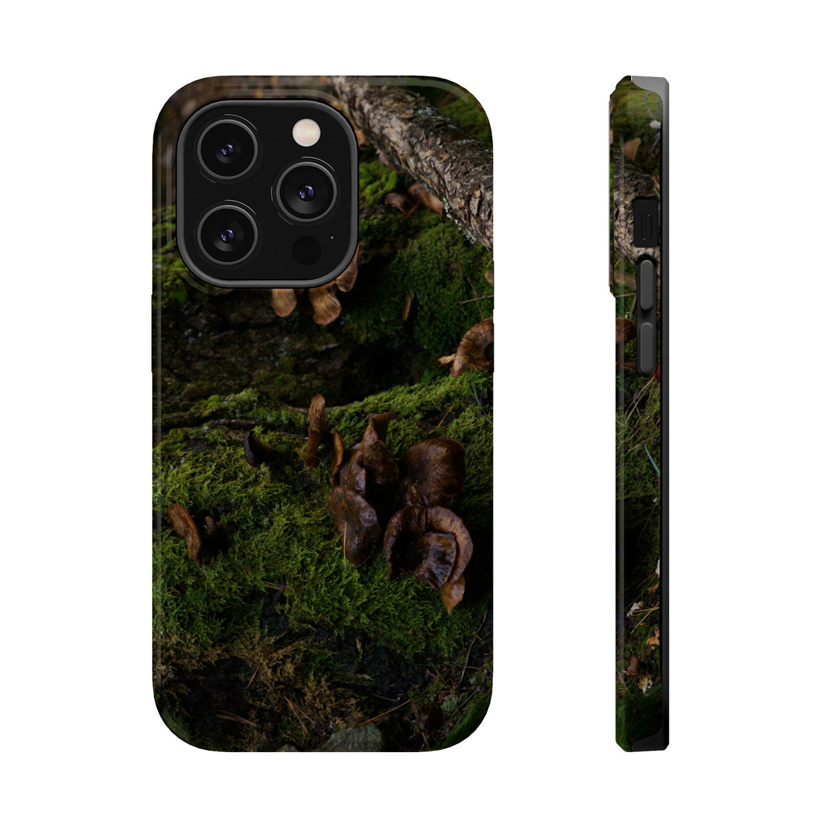 iPhone MagSafe Case | Acadia Forest Fungi | Acadia National Park | My Blu Horizon