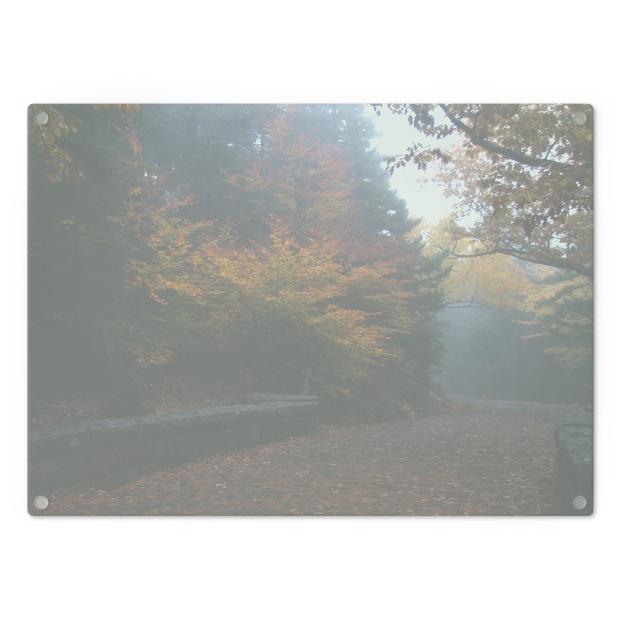 Tempered Glass Cutting Board - Leaf Peeping Carriage Roads Acadia - My Blu Horizon