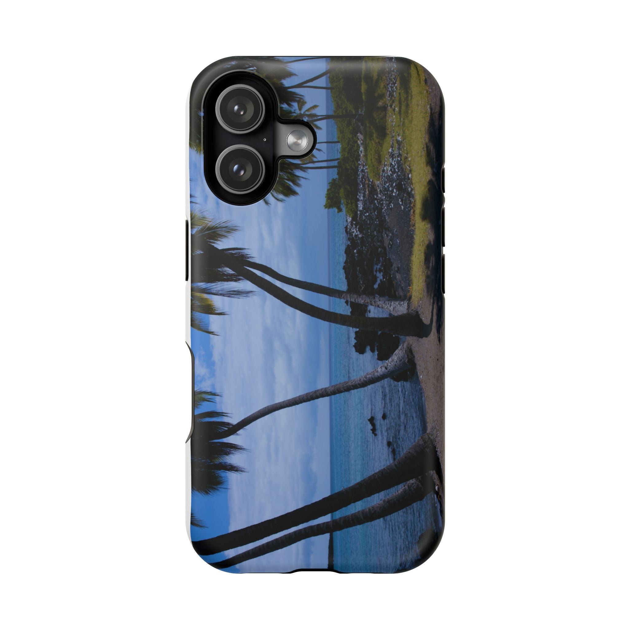 Hawaiian Beach and Palm Trees