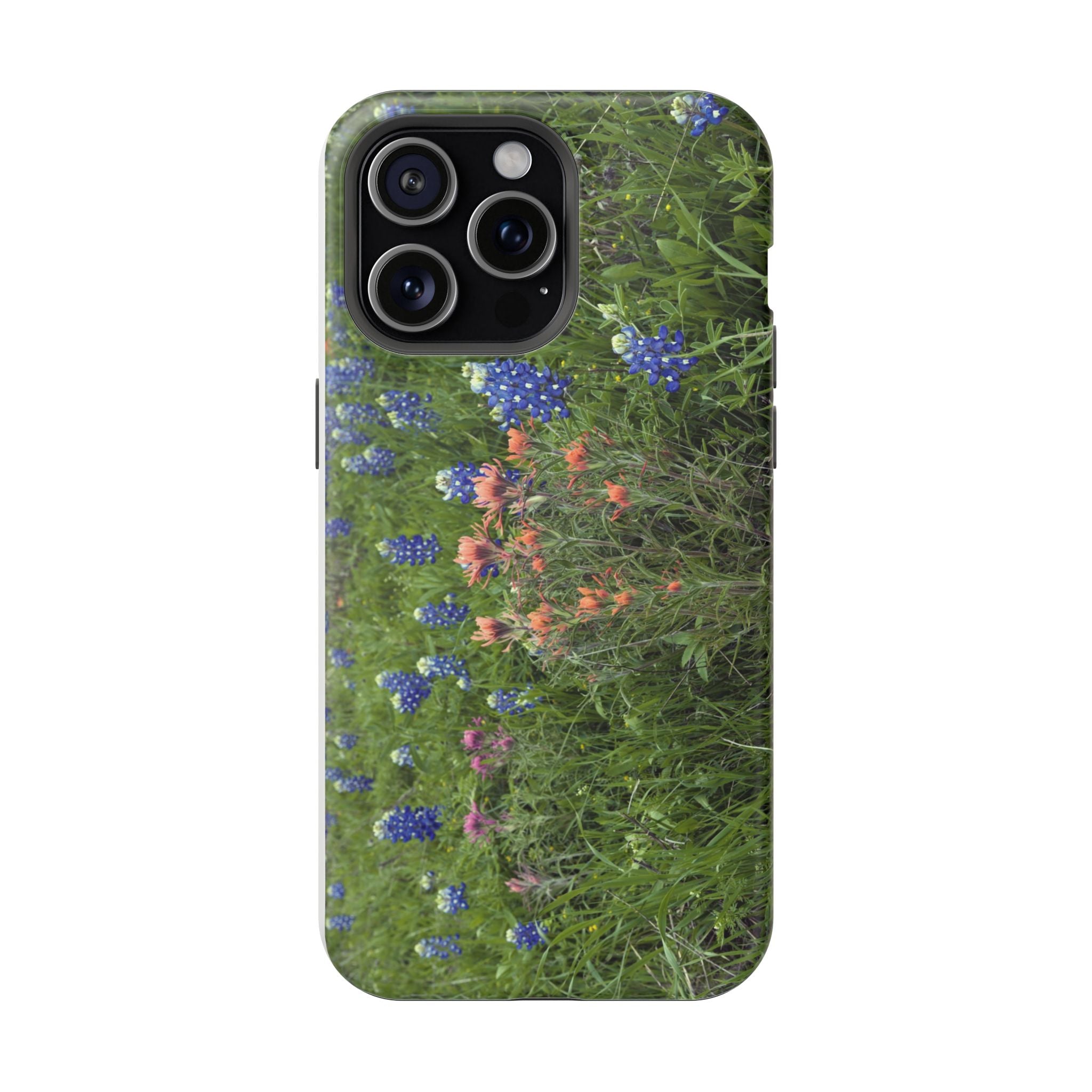 Texas Bluebonnets and Indian Paintbrushes