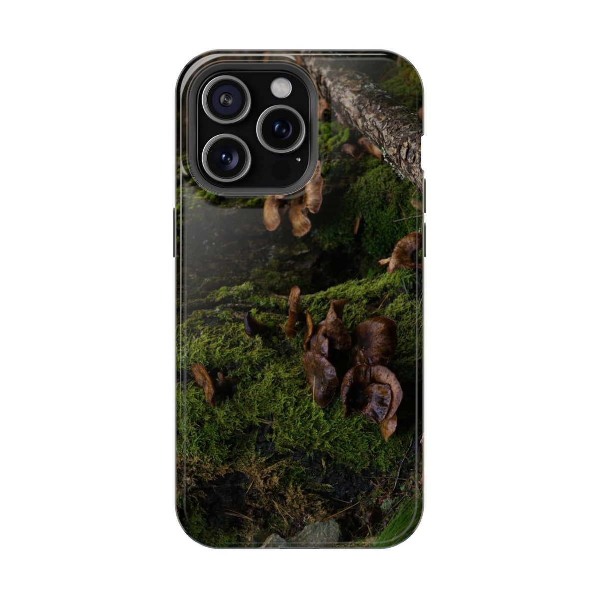 iPhone MagSafe Case | Acadia Forest Fungi | Acadia National Park | My Blu Horizon