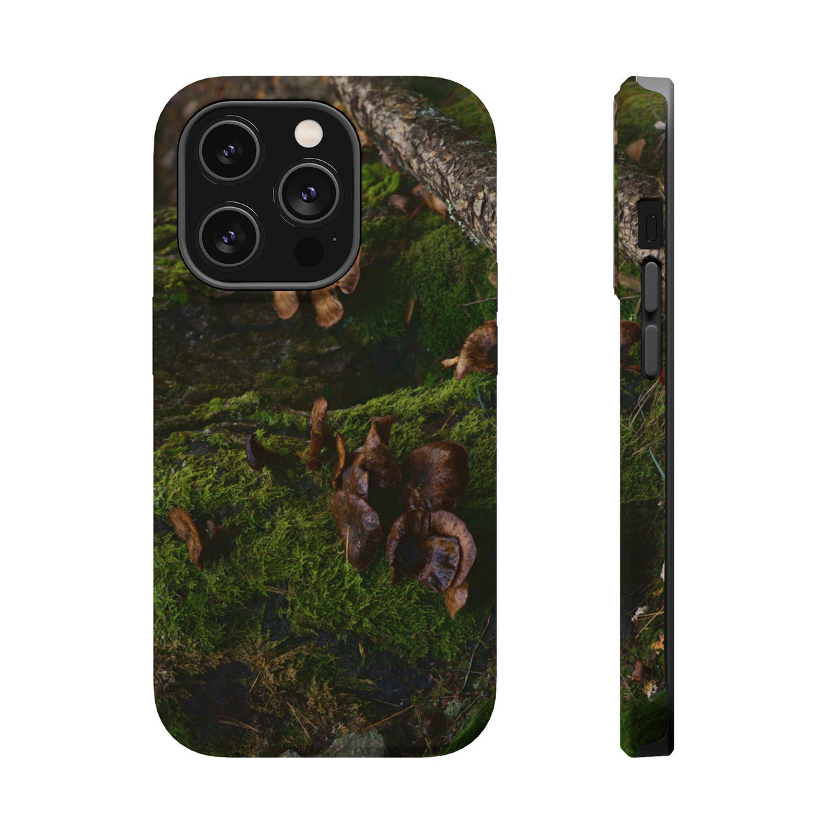iPhone MagSafe Case | Acadia Forest Fungi | Acadia National Park | My Blu Horizon