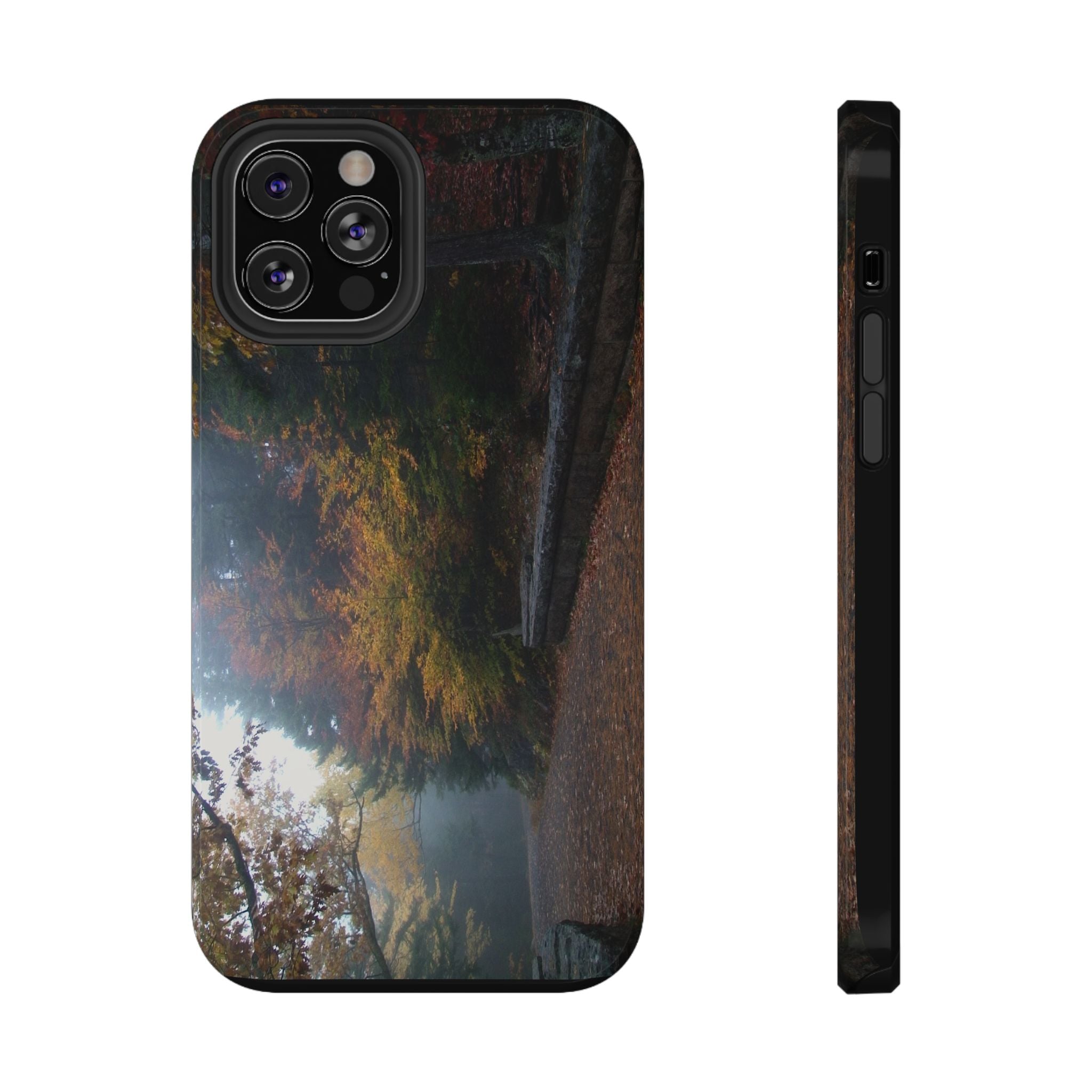 Phone Case | Waterfall Bridge Carriage Road View | Acadia National Park | My Blu Horizon