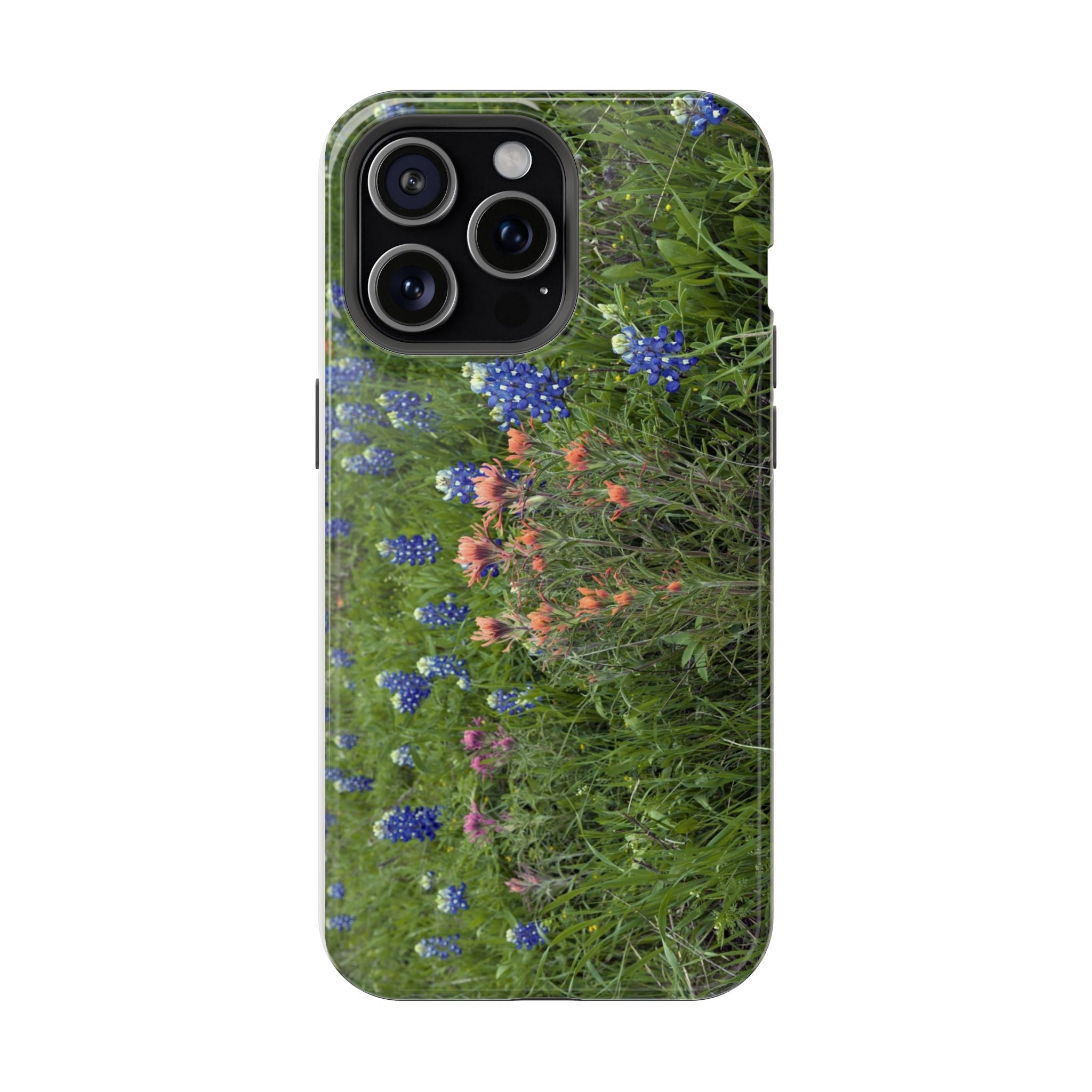 Texas Bluebonnets and Indian Paintbrushes