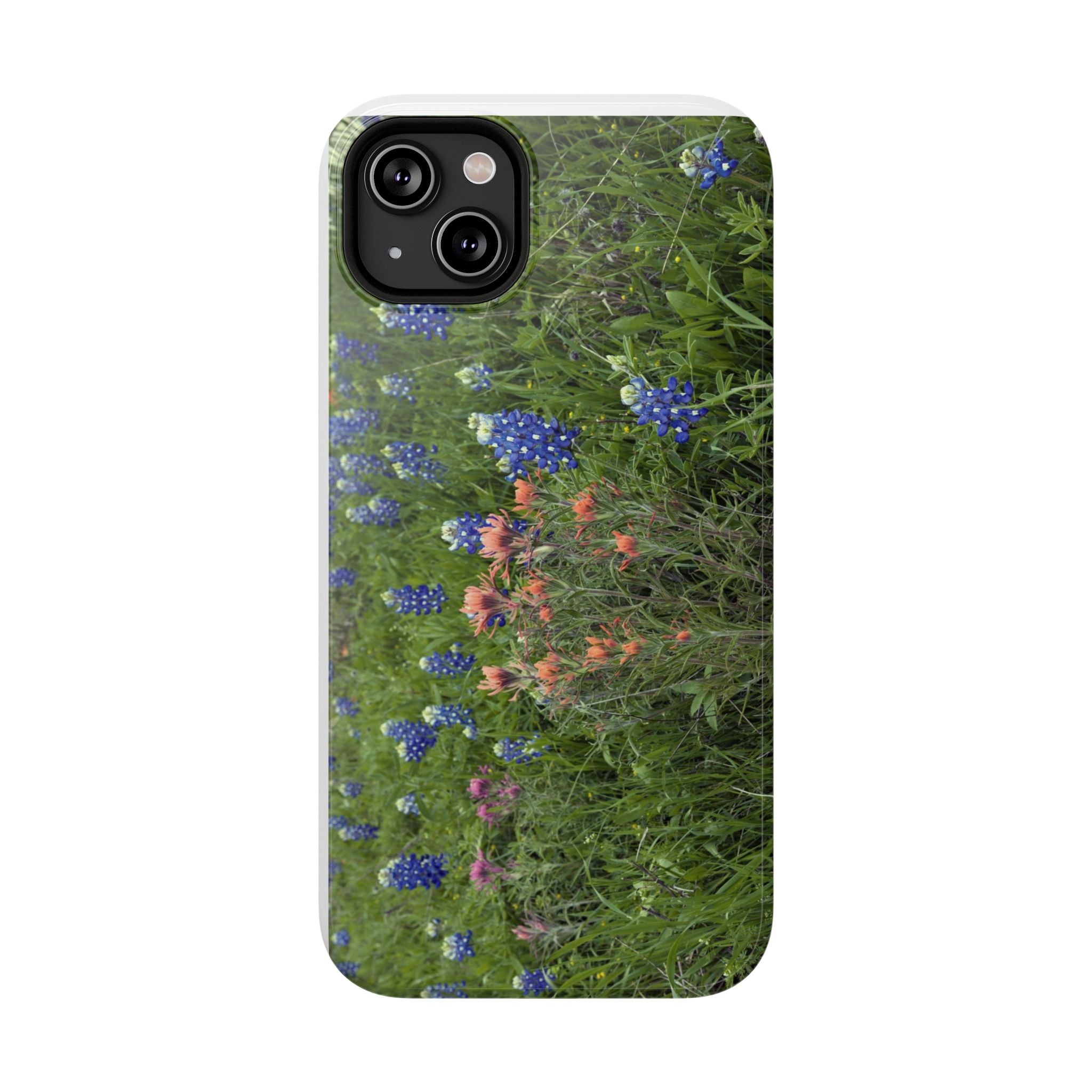 Texas Bluebonnets and Indian Paintbrushes