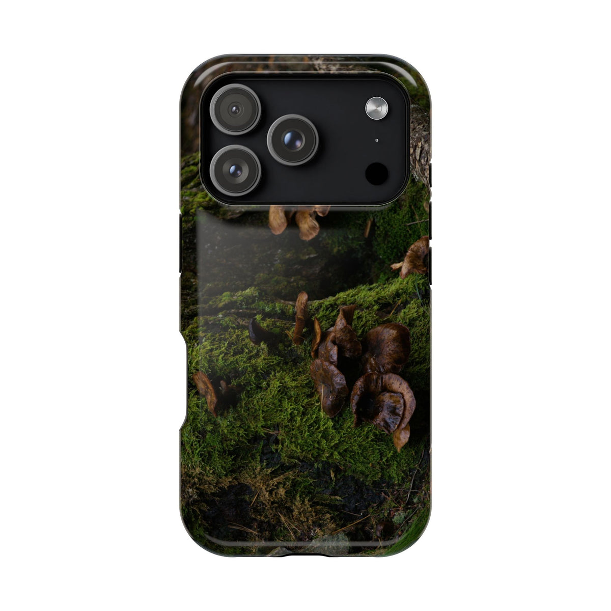 iPhone MagSafe Case | Acadia Forest Fungi | Acadia National Park | My Blu Horizon