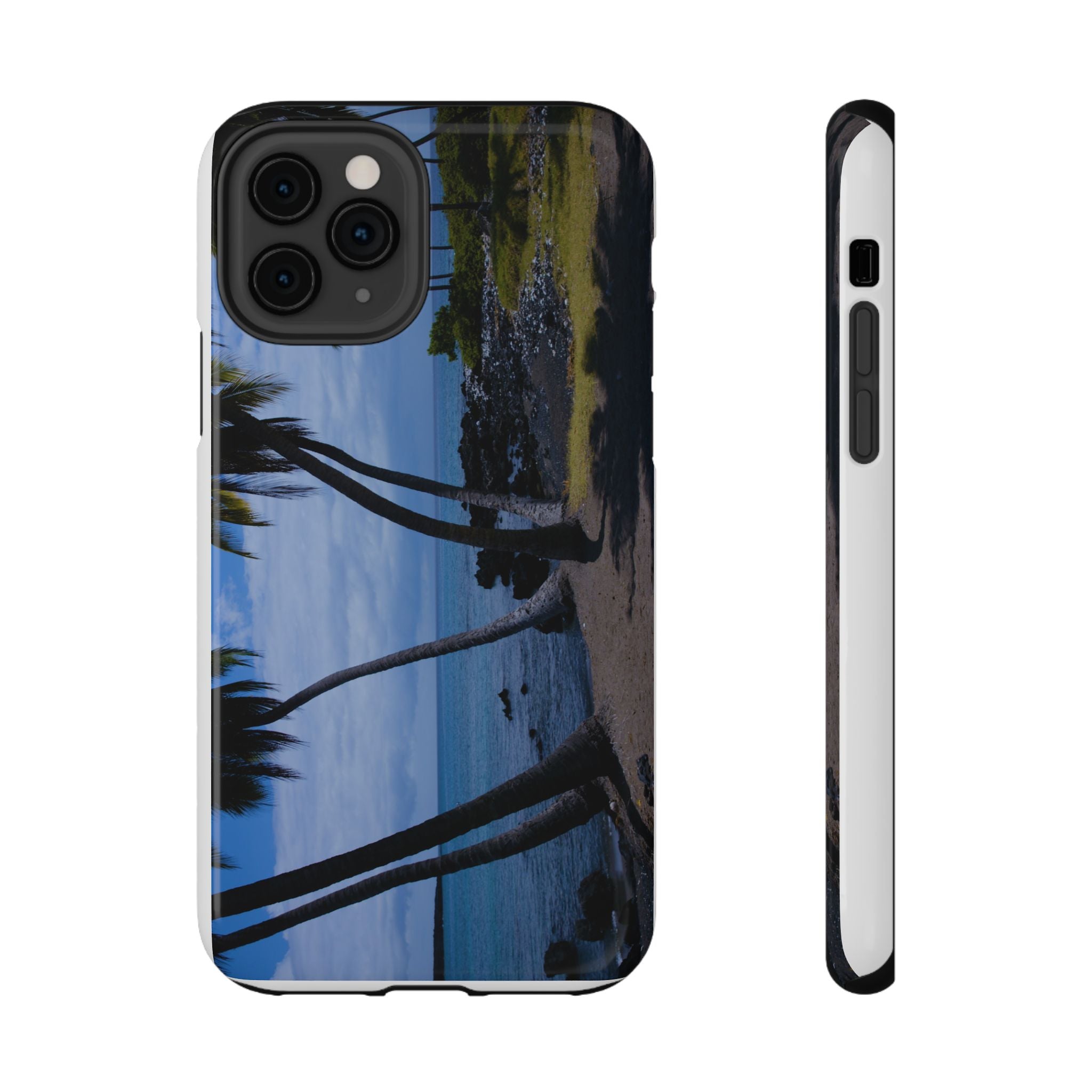 Hawaiian Beach and Palm Trees