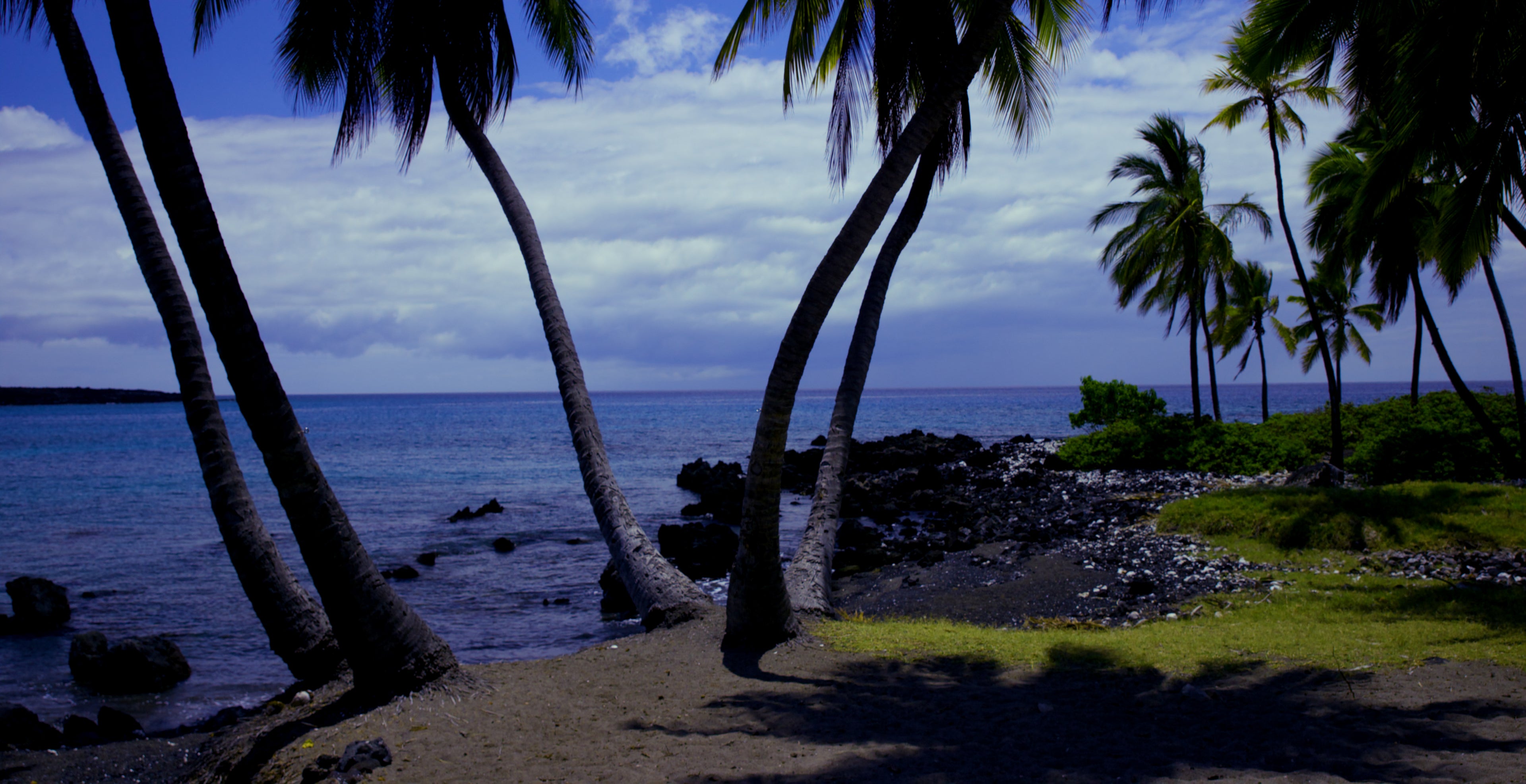 4K Screensaver | Big Island Surf, Sand and Palms | Hawaii | My Blu Horizon