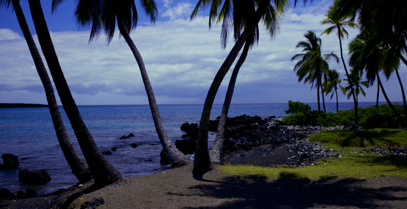 4K Screensaver | Big Island Surf, Sand and Palms | Hawaii | My Blu Horizon