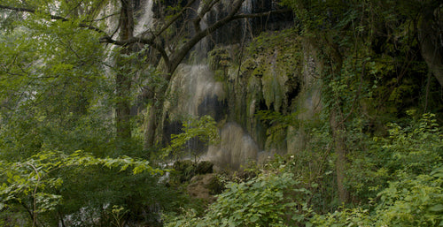 4K Screensaver | Gorman Falls Spring | Texas Nature