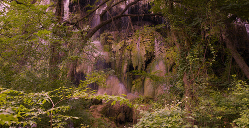 4K Screensaver | Gorman Falls Morning Spring Water | Texas Nature