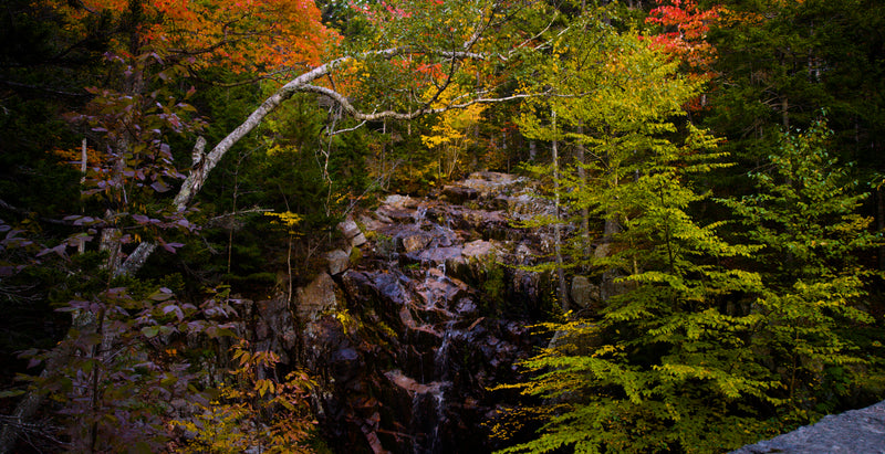 4K Screensaver | Hadlock Falls | Acadia National Park | My Blu Horizon