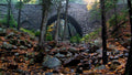 Hemlock Bridge Acadia National Park Fall HD Screensaver