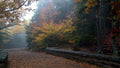 Hadlock-Brook-Loop-Trail-and-Waterfall-Bridge-Fall-Acadia-National-Park