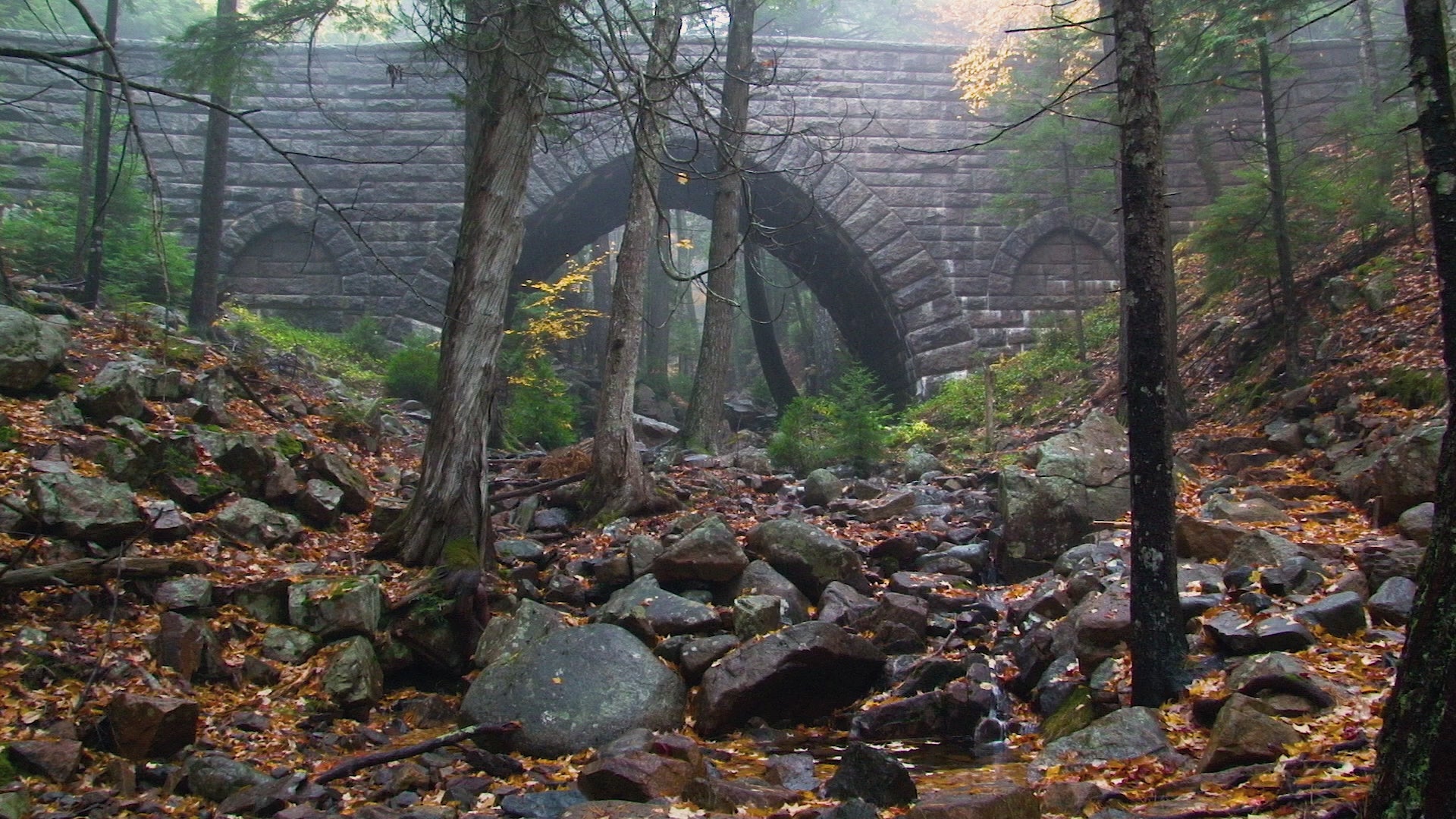 Hemlock Bridge Acadia National Park Fall HD Screensaver