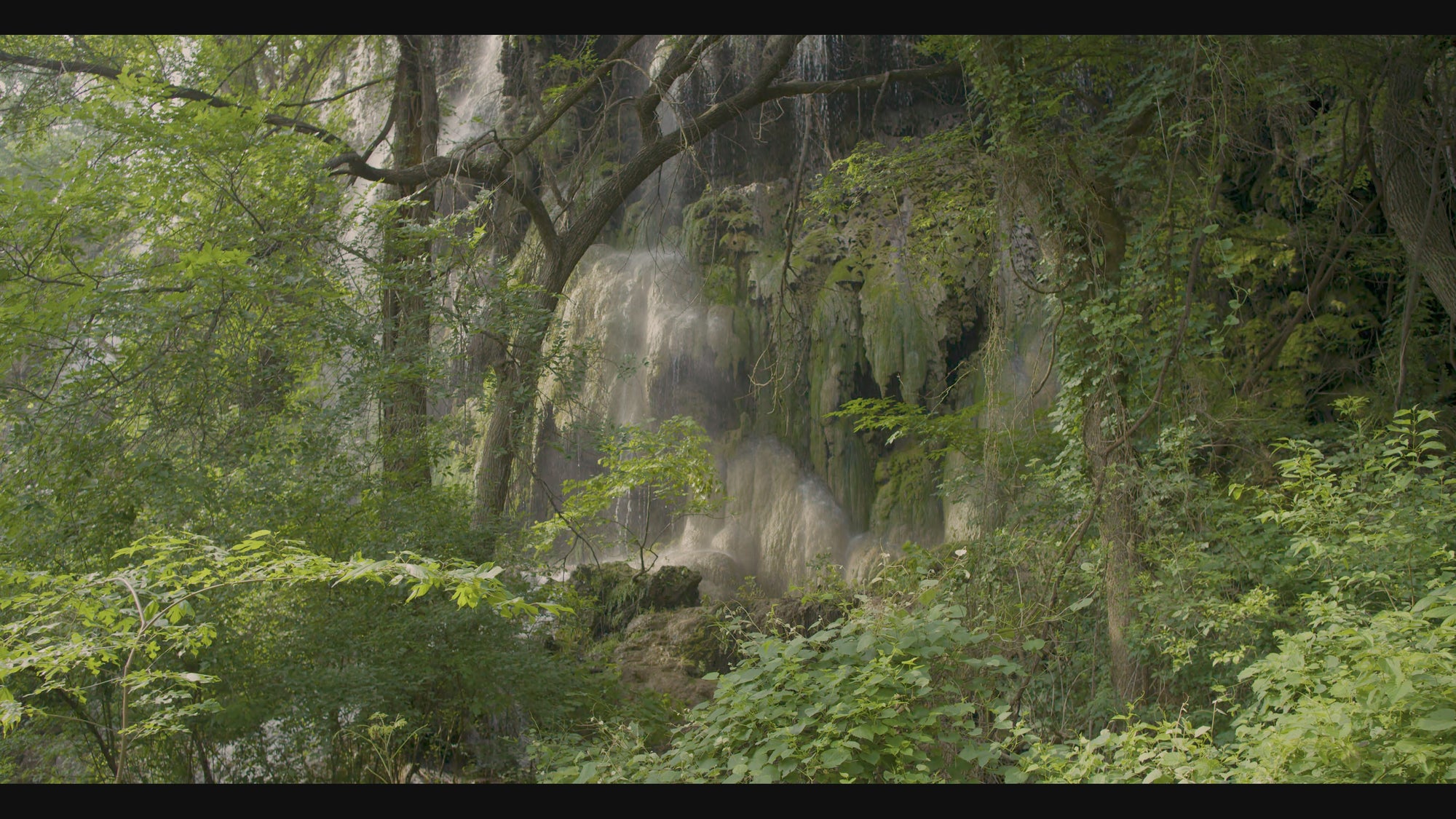 Gorman Falls Spring 4K Screensaver