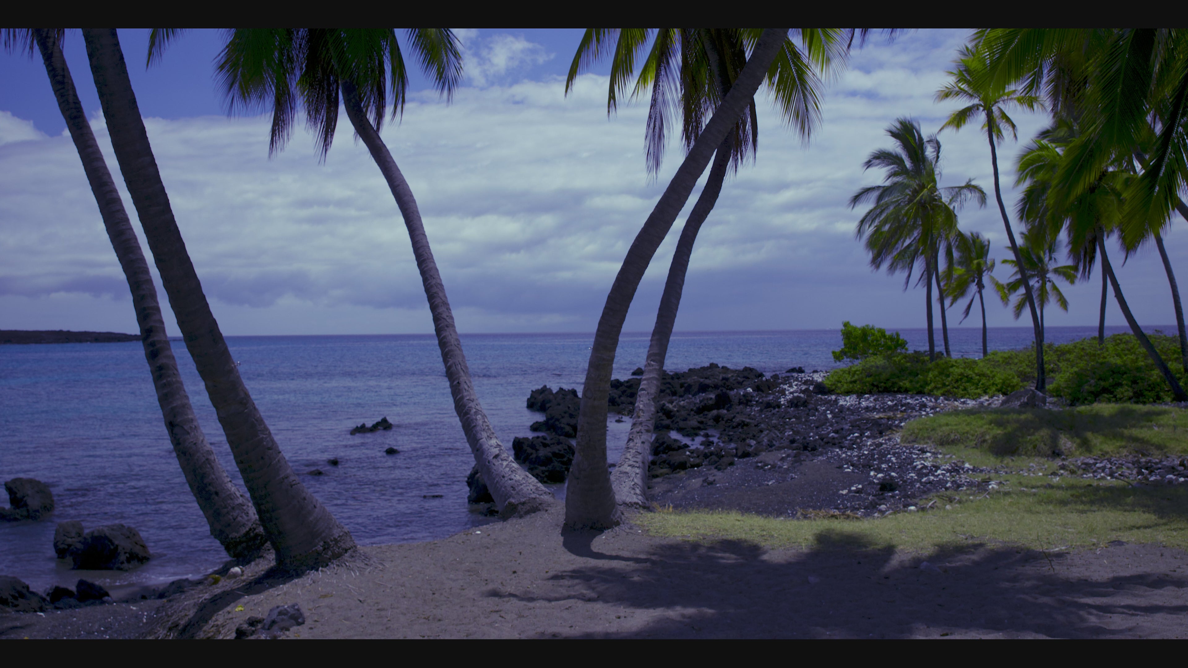 4K Screensaver | Big Island Surf, Sand and Palms | Hawaii | My Blu Horizon
