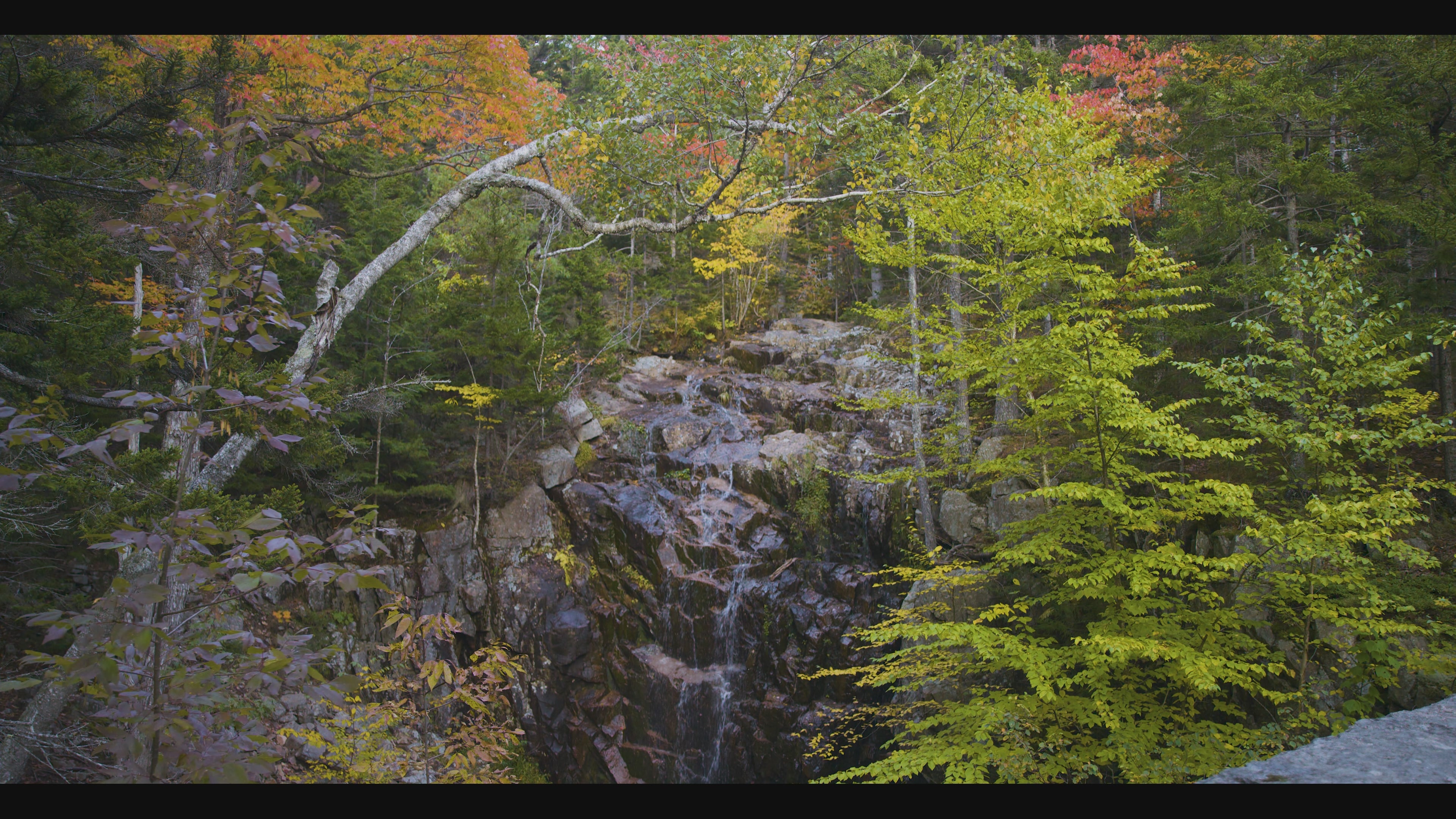 4K Screensaver | Hadlock Falls | Acadia National Park | My Blu Horizon