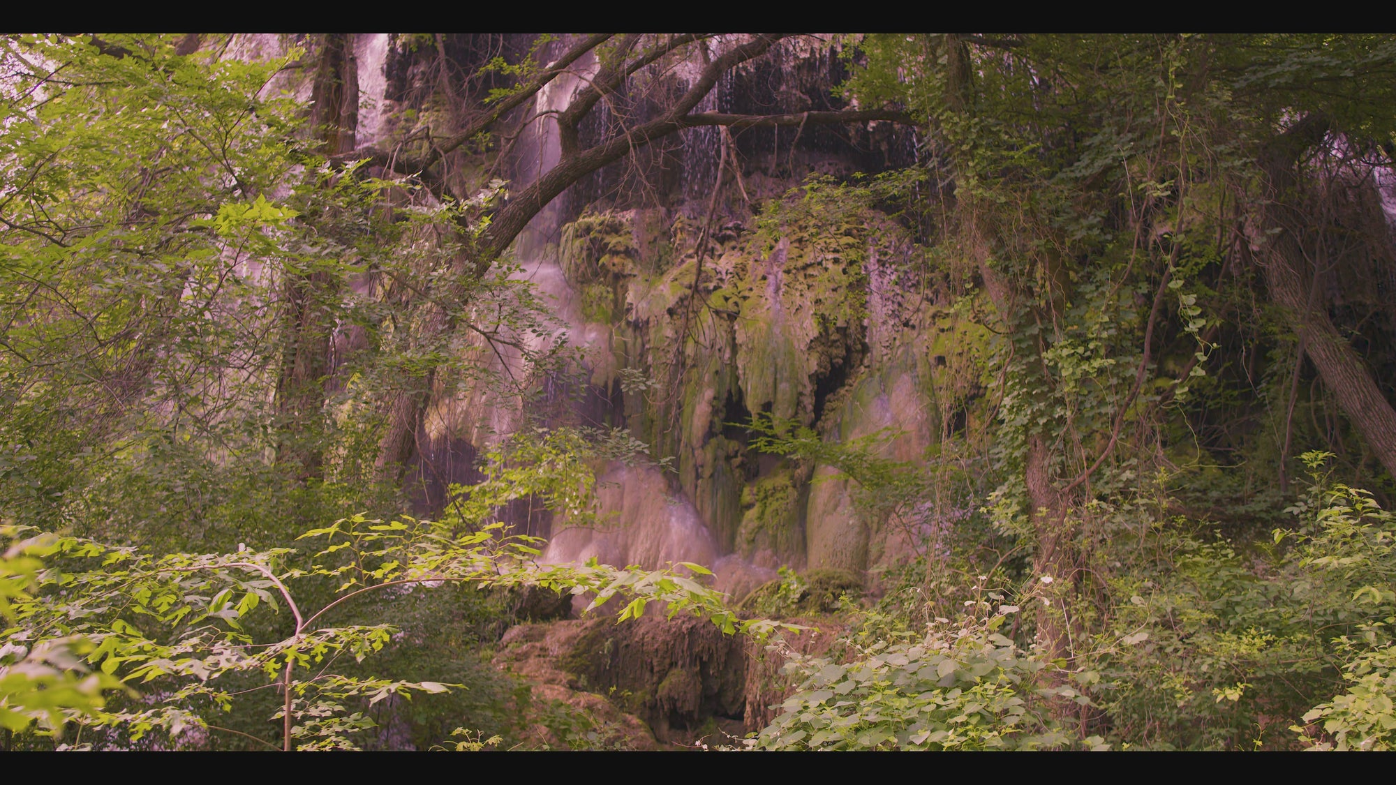 Gorman Falls Morning 4K Screensaver
